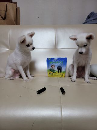 leejr1109님이 올린 리뷰 사진 3
