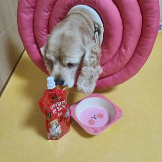제니맘님이 올린 리뷰 사진 4
