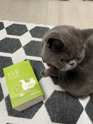 도그퓨어 푸드닭 강아지 닭고기 통살 애견간식 오리지널/차전자피/초록입홍합 — 5점을 준 리뷰어가 2021년 11월 올린 사용 사진