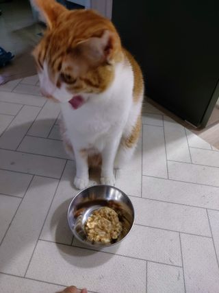 귤양님이 올린 리뷰 사진 4