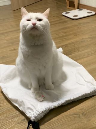 ㄹ진님이 올린 리뷰 사진 1