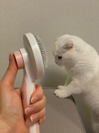 코코몰리 실키 데일리 원터치 브러쉬 — 5점을 준 리뷰어가 2021년 3월 올린 사용 사진