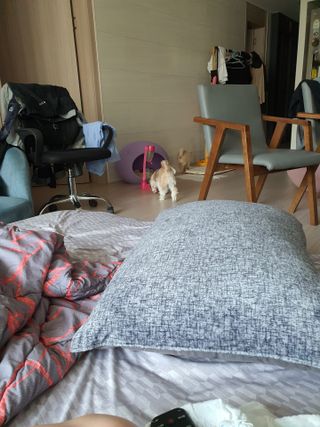 유네님님이 올린 리뷰 사진 3