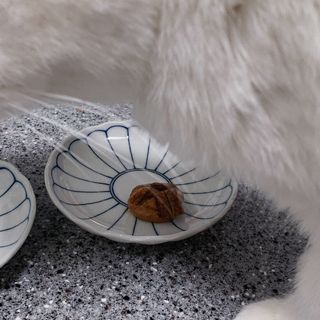 ㄹ진님이 올린 리뷰 사진 2