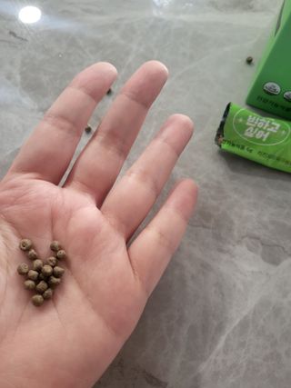 호롤로님이 올린 리뷰 사진 3