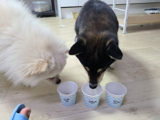 민댕이님이 올린 리뷰 사진 2