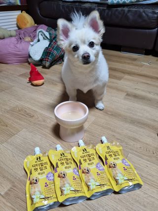 임예슬님이 올린 리뷰 사진 1