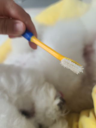꾸꾸엄마님이 올린 리뷰 사진 3