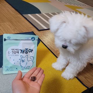 KimHyojin님이 올린 리뷰 사진 2