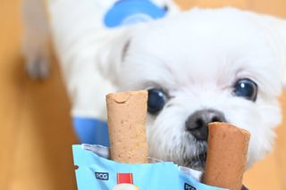 유리양님이 올린 리뷰 사진 1