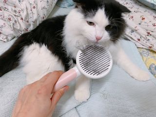 cobemom님이 올린 리뷰 사진 1