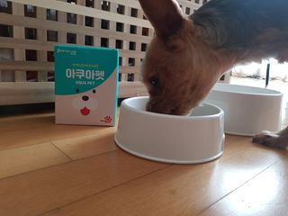 펫시랩 반려견용 액상 프리바이오틱스 아쿠아펫 — 5점을 준 리뷰어가 2021년 2월 올린 사용 사진