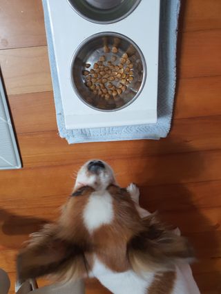미실님이 올린 리뷰 사진 4