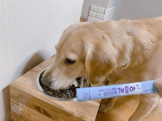 달봉언니님이 올린 리뷰 사진 3