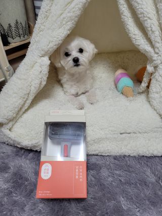 시우하늘맘님이 올린 리뷰 사진 1