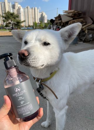 마리앤루이펫샴푸 [mari and louie pet shampoo] — 5점을 준 리뷰어가 2021년 5월 올린 사용 사진