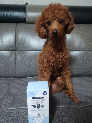 너구리양님이 올린 리뷰 사진 2