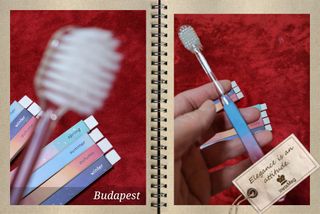 에브리모먼트 에브리 모먼트 칫솔 Every moment toothbrush — 5점을 준 리뷰어가 2022년 3월 올린 사용 사진
