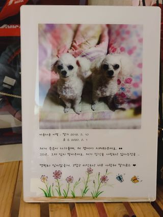 Dang💕딩여니님이 올린 리뷰 사진 1