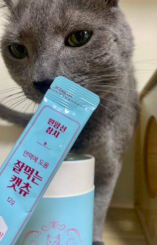 냥냥이님이 올린 리뷰 사진 1