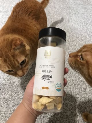 오필리뷰님이 올린 리뷰 사진 1