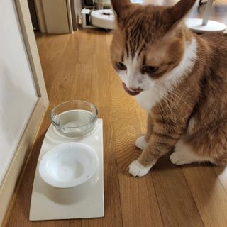 호야맘님이 올린 리뷰 사진 3