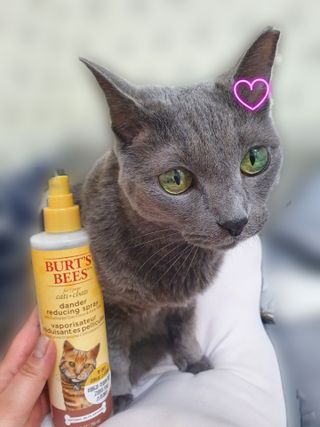 핑키냥이님이 올린 리뷰 사진 4