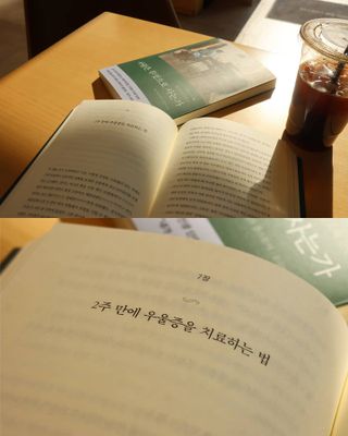 안젤라mj님이 올린 리뷰 사진 4
