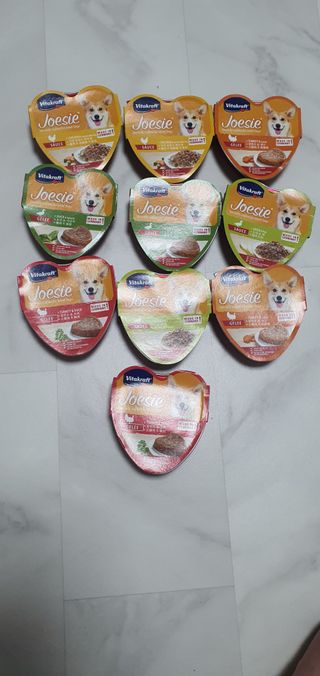 비타크래프트 조에시 하트캔 85g 강아지 습식캔 10캔 — 5점을 준 리뷰어가 2021년 7월 올린 사용 사진