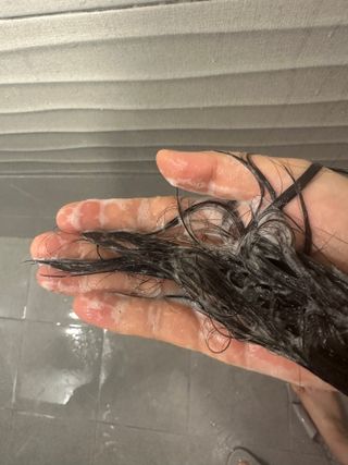 닥터시드 페퍼민트 앤 레몬 비건 비듬케어 쿨 탈모 샴푸 (1000ml) — 5점을 준 리뷰어가 2024년 2월 올린 사용 사진
