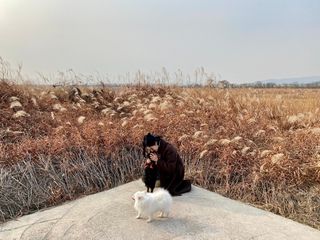인스타님이 올린 리뷰 사진 1