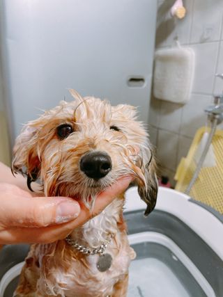 연쨩님이 올린 리뷰 사진 1