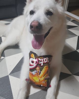 딸랑구둘🥰님이 올린 리뷰 사진 1