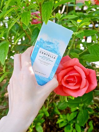 MF[스킨1004] 마다가스카르 센텔라 히알루-시카 워터핏 선세럼 50ml — 5점을 준 리뷰어가 2024년 5월 올린 사용 사진