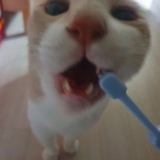JENNY님이 올린 리뷰 사진 3