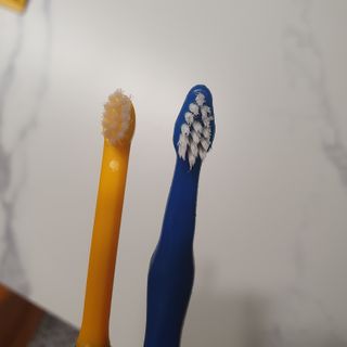 Pethroom 페스룸 PETHROOM DENTAL CARE SET 페스룸 덴탈 케어 세트 / 덴탈 클린 칫솔 + 덴탈 클린 치약 — 5점을 준 리뷰어가 2020년 12월 올린 사용 사진
