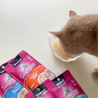 비타크래프트 고양이 수프 50g 3가지맛 x4팩씩 총 12팩 — 4.5점을 준 리뷰어가 2021년 8월 올린 사용 사진