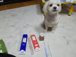 단츄♡님이 올린 리뷰 사진 1