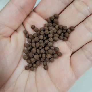 도미노님이 올린 리뷰 사진 3