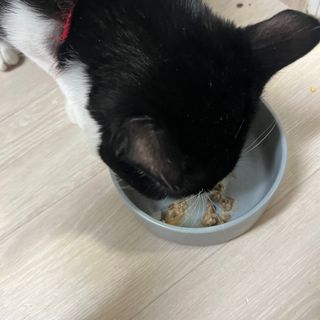 김미진님이 올린 리뷰 사진 3