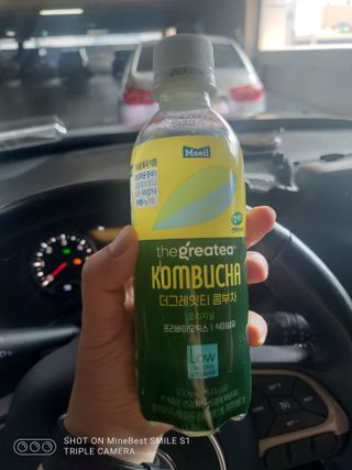 더그레잇티 콤부차 [매일유업] 더그레잇티 44kcal 콤부차 300ml *12개입 (오리지널 6개+베리리치 6개) — 5점을 준 리뷰어가 2023년 8월 올린 사용 사진