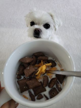 뽀오오옹님이 올린 리뷰 사진 3