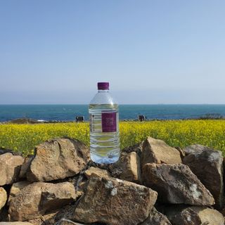 몽베스트 MONTBEST 1L 12입 — 5점을 준 리뷰어가 2022년 3월 올린 사용 사진