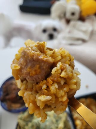 브라잇벨리 식물성 미트볼과 일본식카레의 만남, 플랜트볼 카레라이스 — 5점을 준 리뷰어가 2022년 8월 올린 사용 사진