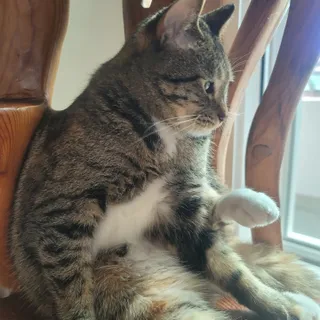 로시님이 올린 리뷰 사진 2
