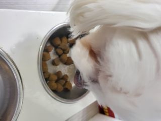정꾸꾸님이 올린 리뷰 사진 3