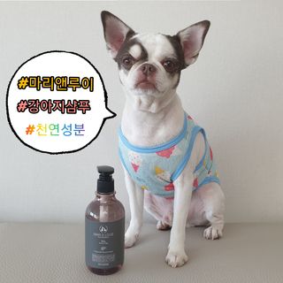 마리앤루이펫샴푸 [mari and louie pet shampoo] — 5점을 준 리뷰어가 2021년 6월 올린 사용 사진