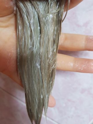 유성인성맘님이 올린 리뷰 사진 1