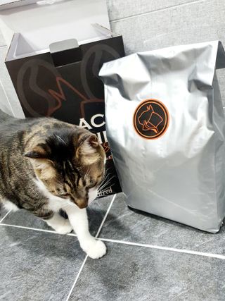 혀으니님이 올린 리뷰 사진 1