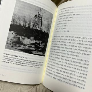 묨묨님이 올린 리뷰 사진 3